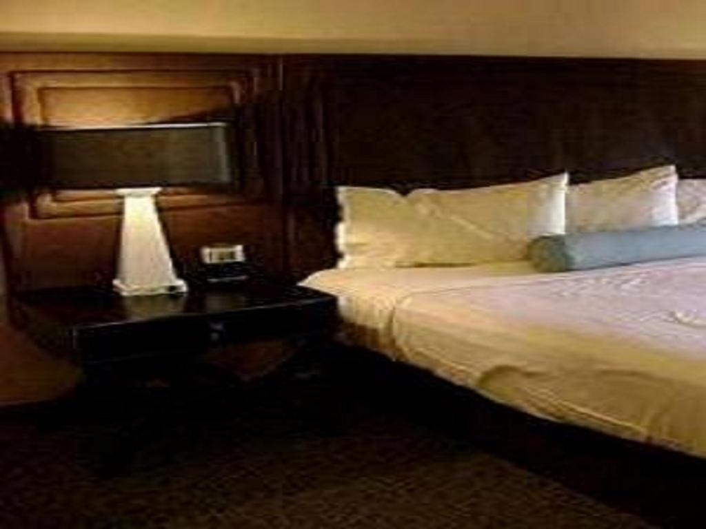 Hotel Sagar Castle Ratlam Phòng bức ảnh